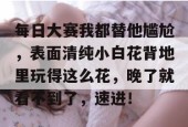 每日大赛我都替他尴尬，表面清纯小白花背地里玩得这么花，晚了就看不到了，速进！
